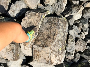 Columnar basalt that had broken off (it was HUGE)! Foot for scale!